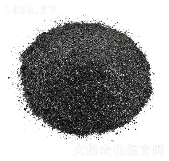 �S�����-�𺣵|