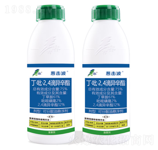 75%��������2��4���ή���֬-�[����-����