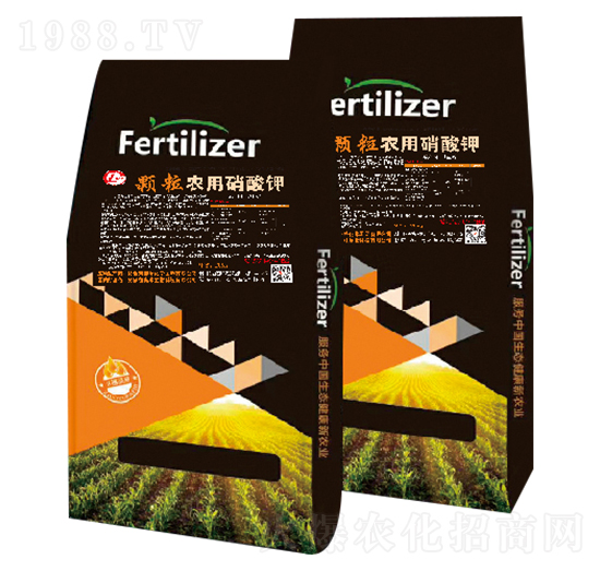 �w���r�������-�W������