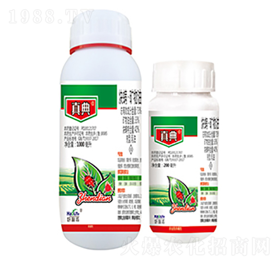 73%Ȳ�M(m��n)���V����-���-����������