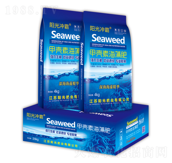 �ך��غ����-ꖹ�ʘI(y��)