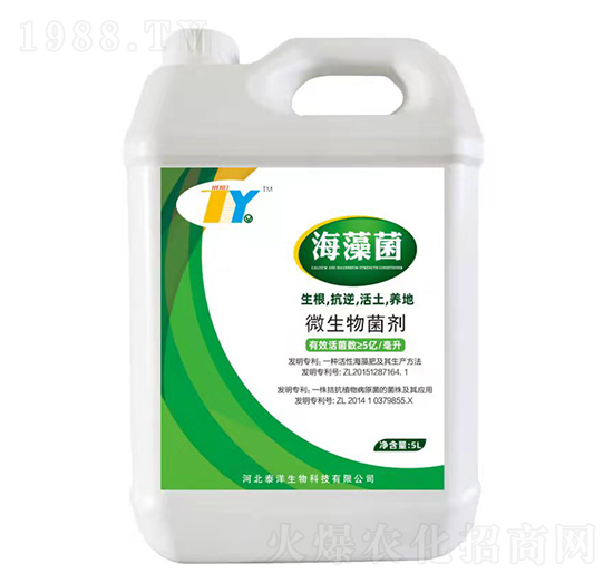 �����΢�������-̩������