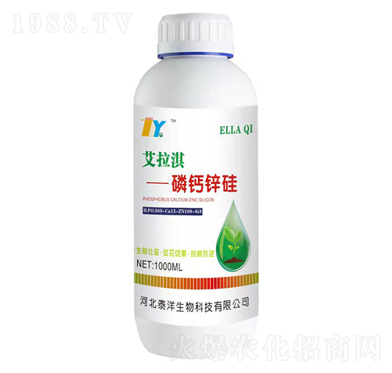 1000ml���}�\��-�����-̩������