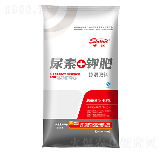 �������34-0-6-����+⛷�-ʢ�h(yu��n)-ʢ�r(n��ng)����