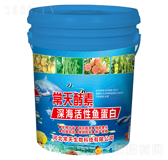 ��������~����-�������-��������