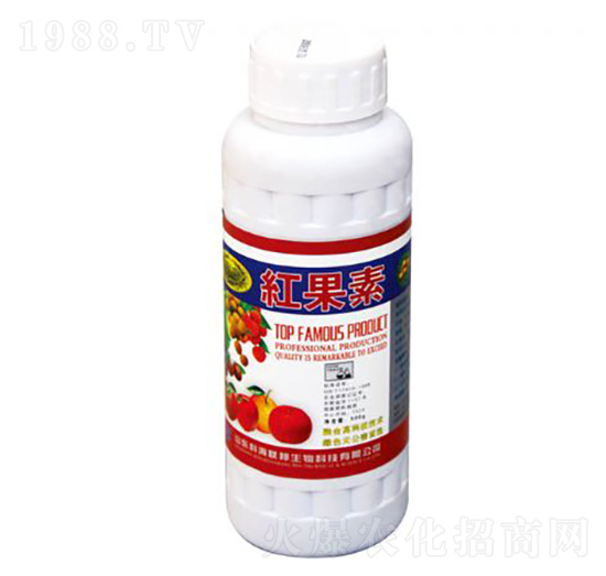 �t����-�ƺ���