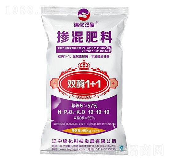 �������19-19-19-�\���pø-�\���Ƽ�