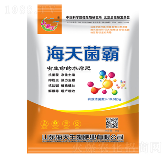 �������-��������