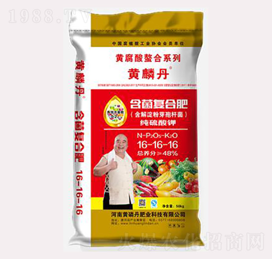 ������(f��)�Ϸ���16-16-16-�S�׵�