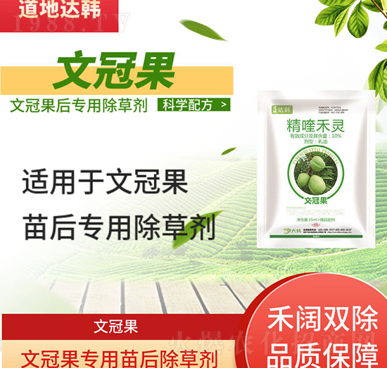 文冠果除草劑-文冠果苗后-文冠果專用-大韓