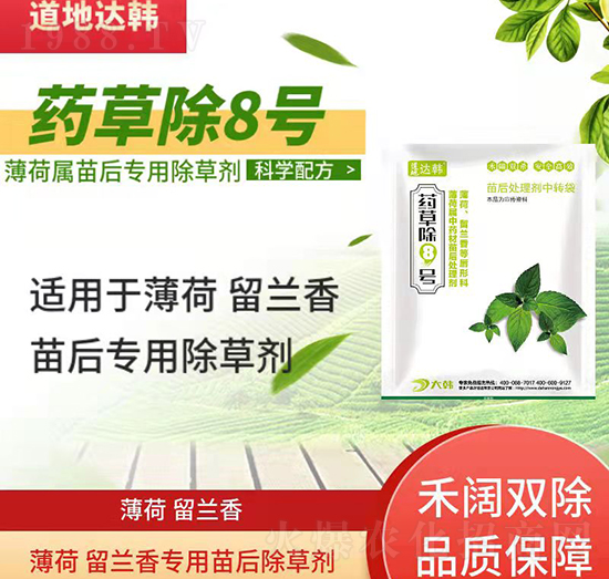 薄荷留蘭香除草劑-薄荷留蘭香苗后-薄荷留蘭香專用-藥草除8號-大韓