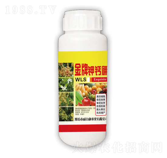 ������}��-����ʩ