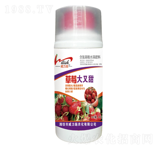 ��ݮ������-����ʩ