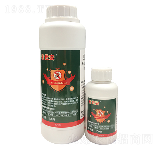 ���������������M�ϣ�-��������