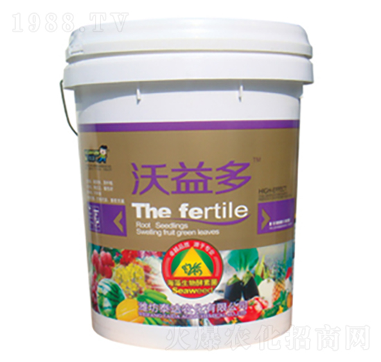 ����������ؾ�-�����-̩�_�r��