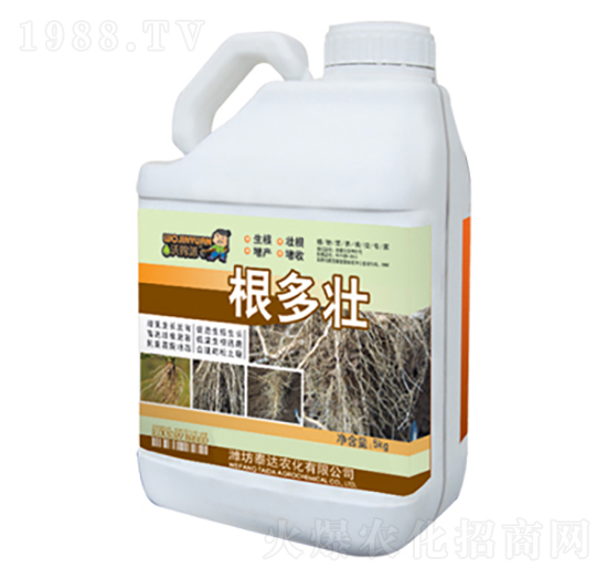 ������-̩�_�r��