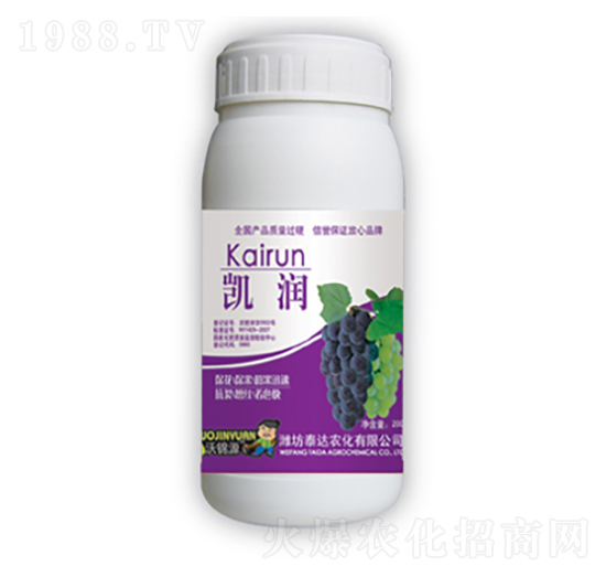 �P��(r��n)-̩�_(d��)�r(n��ng)��