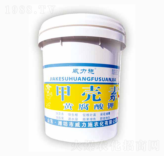 �ך���-�S�����-����ʩ