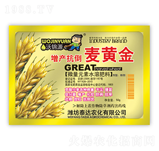增產(chǎn)抗倒麥黃金-泰達(dá)農(nóng)化