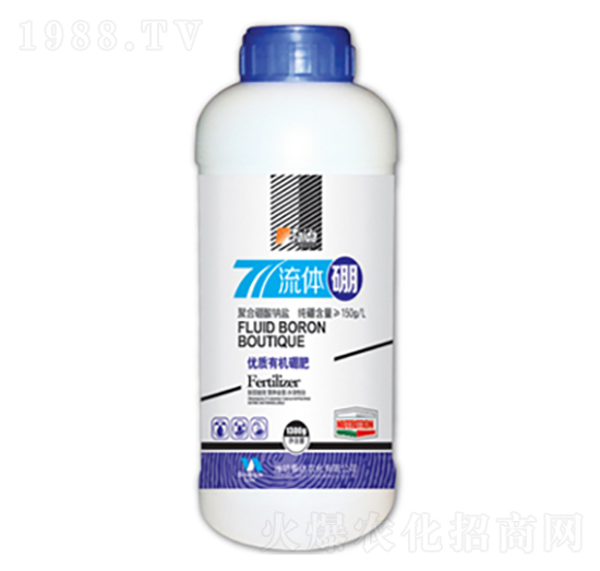 ���w��-̩�_�r��