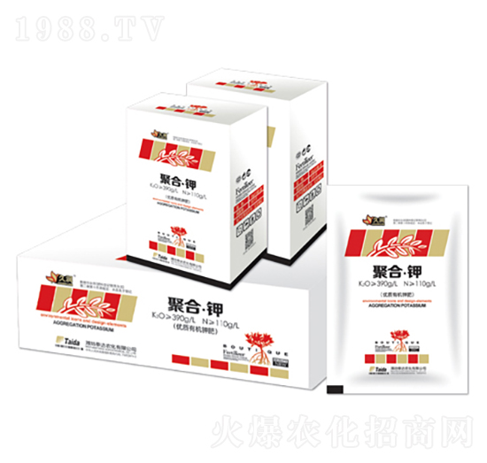 �ۺ�⛣��У�-̩�_(d��)�r(n��ng)��