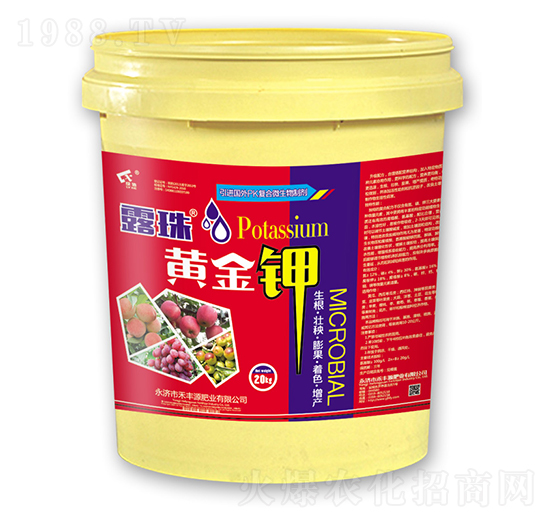 ¶���S���-���SԴ�ʘI(y��)