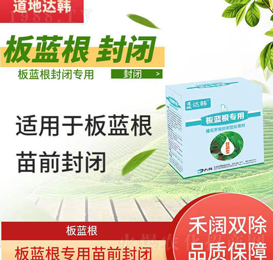 板藍(lán)根除草劑-板藍(lán)根播后芽前-板藍(lán)根專(zhuān)用-大韓