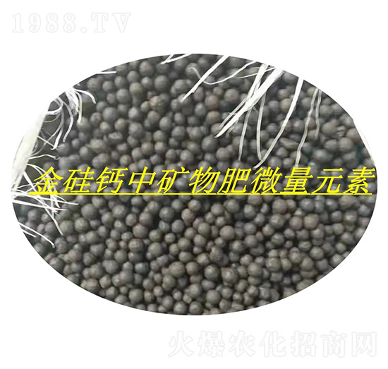 ����}�еV���΢��Ԫ��-��(r��n)�l(f��)����