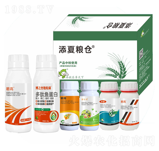 ���ļZ�}(c��ng)��ʮ���أ�-�S�՘�(l��)