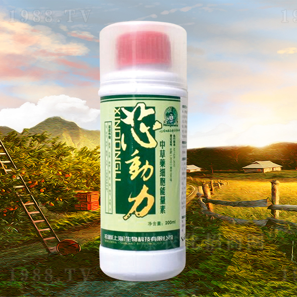 �в�ˎ��(x��)��������-о��(d��ng)��-�r(n��ng)��