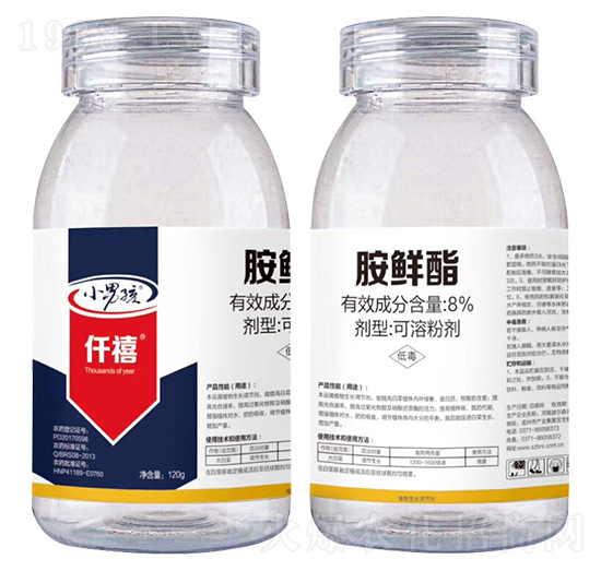 8%���r��-Ǫ��-����ɭ