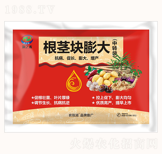 根莖塊膨大-潤(rùn)芝禾