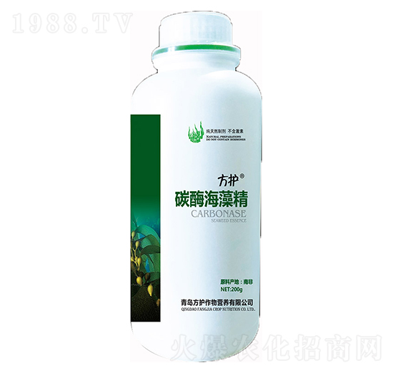 ̼ø���徫-���o