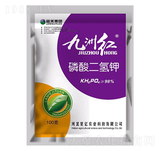 ��������-���޼t-�{������