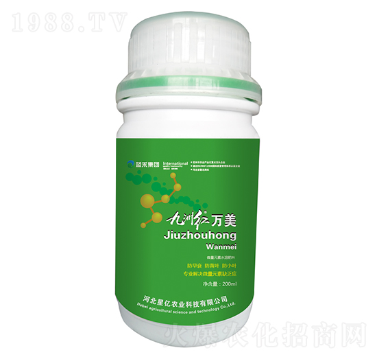 ���޼t�f��-�{������