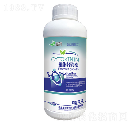 ��(x��)��������-ؐ������