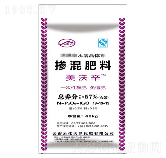 �������19-19-19-������-�ƻ����