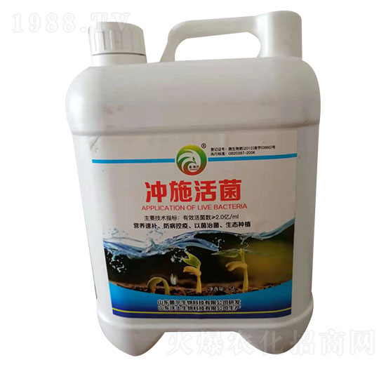 �_ʩ���-��������