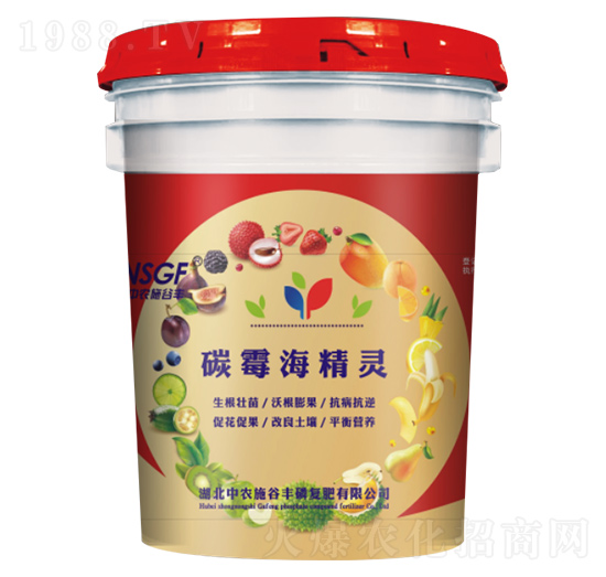 ̼ù�����`-���r(n��ng)ʩ���S