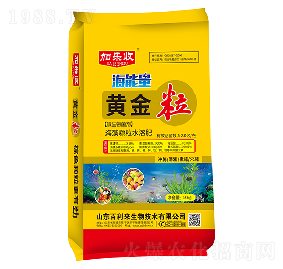 ΢������� �S���� �Ә��� ������