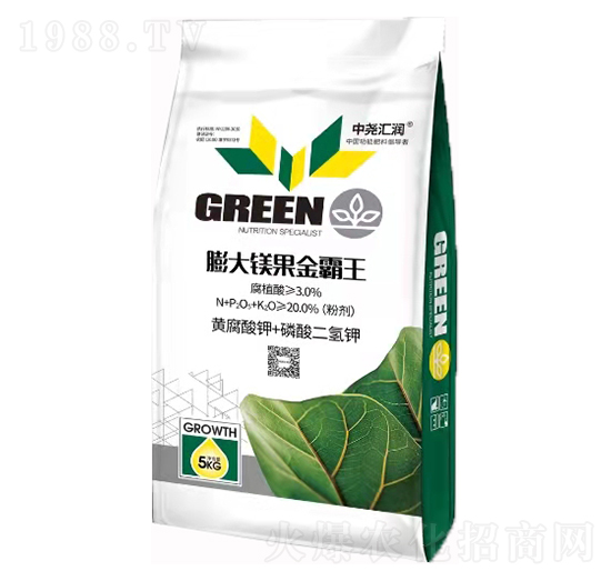 ����V������� �Ј�R��(r��n)