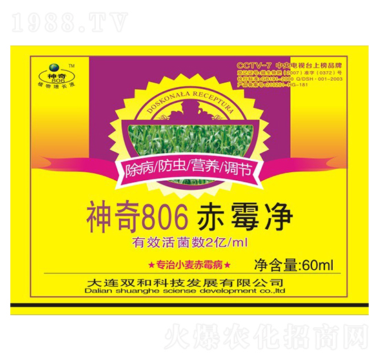 ��ù�� ����806 �p�ͿƼ�