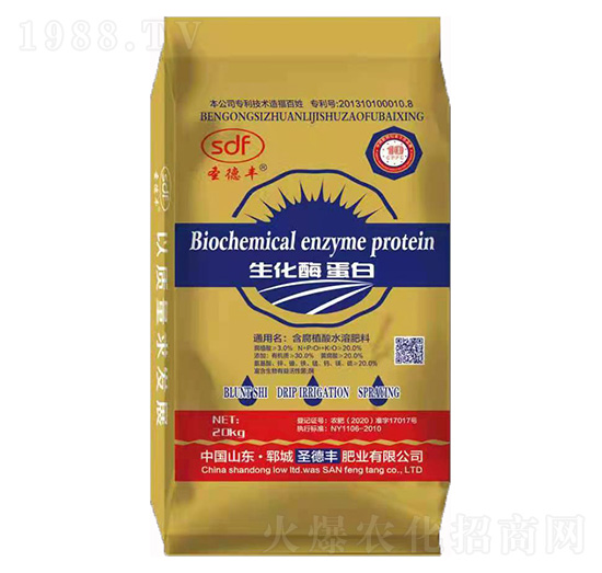 ����ø���� ʥ���S