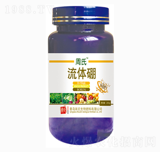 ���w��-�����r��