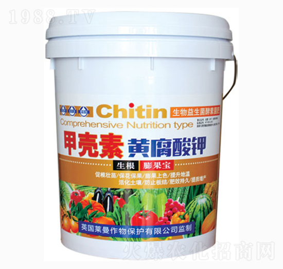 �ך����S�����-�����r(n��ng)��