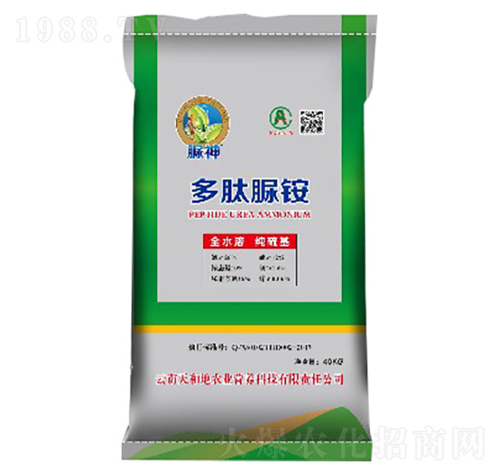 �������@-����-����