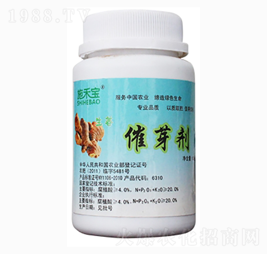 ������ѿ��-ʩ�̌�