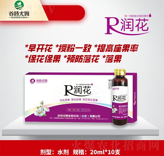 ����-�л������������������A���仨��-������ķ