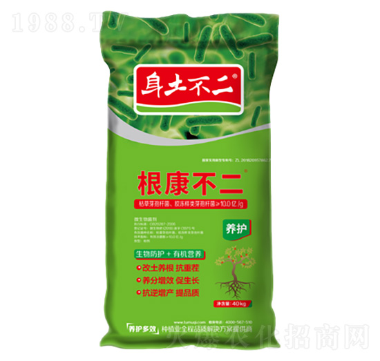 �������� �������� ��ľ������