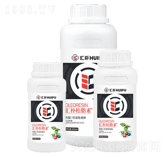 �R����֬�؄���-�R��